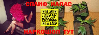 наркотики Краснознаменск